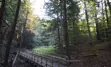 Bridge at Grants Woods Loop Trail, outside of Orillia