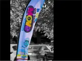 sail flag of bwg on the move