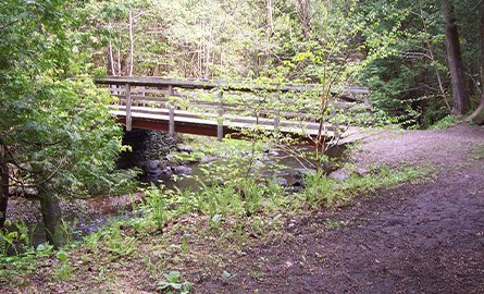 Pedestrian bridge at Scanlon Creek in Bradford