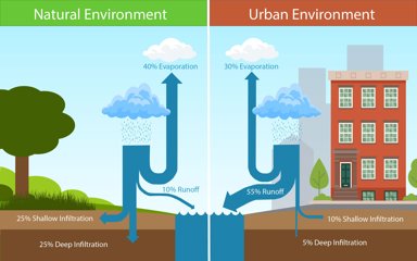 Graphic showing stormwater runoff in natural and urban environments
