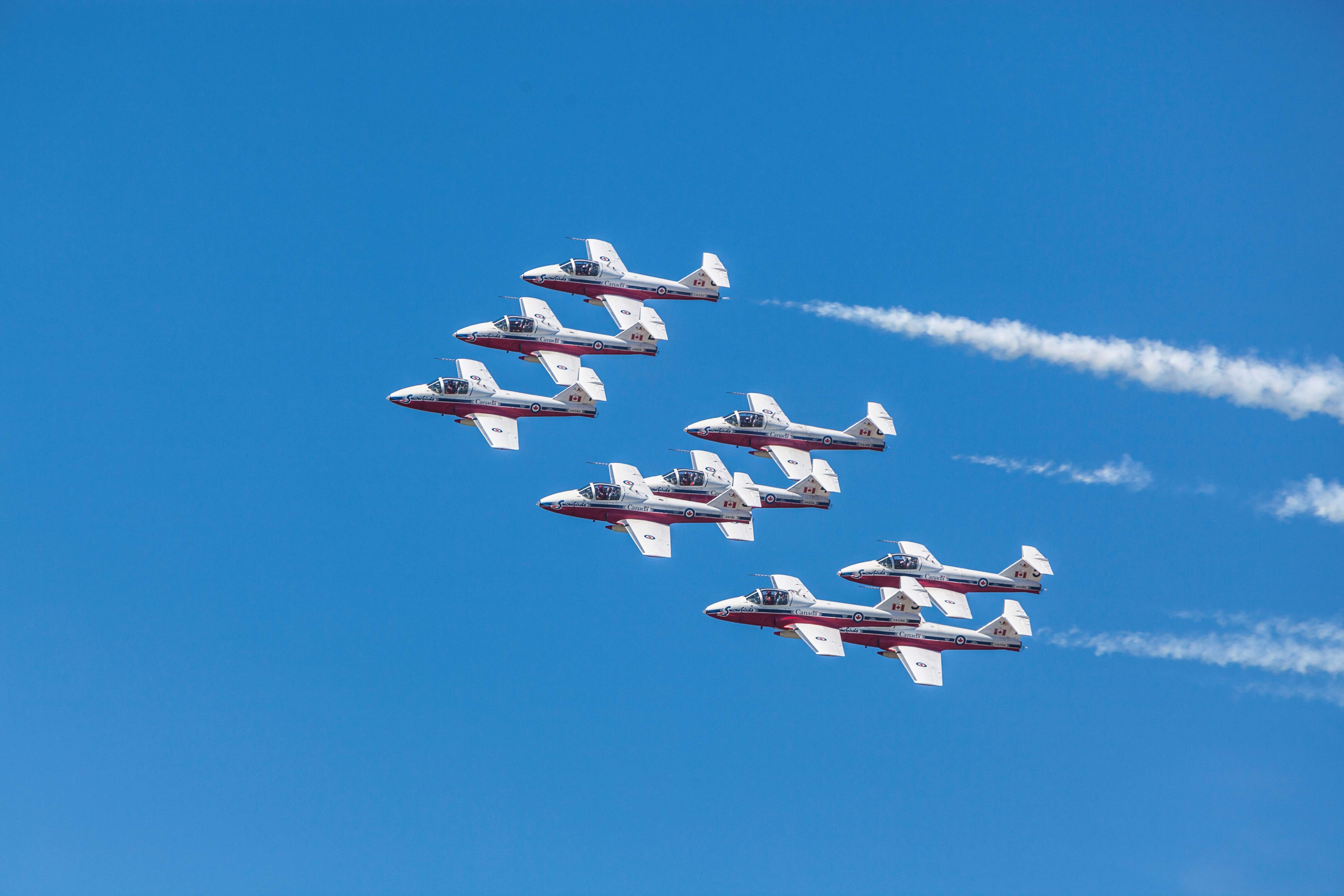 Snowbirds in blue sky