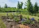 Image of Henderson Pollinator Garden