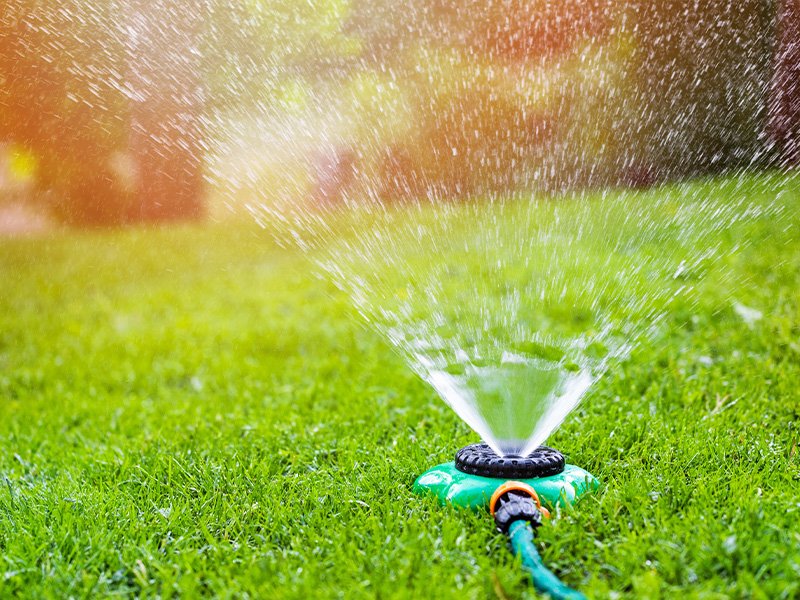 Image of sprinkler on green grass