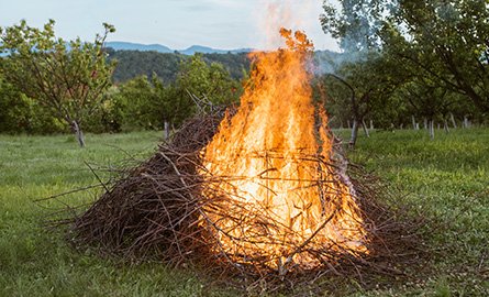 Controlled fire, burning tree branches on a rural property