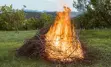 Controlled fire, burning tree branches on a rural property