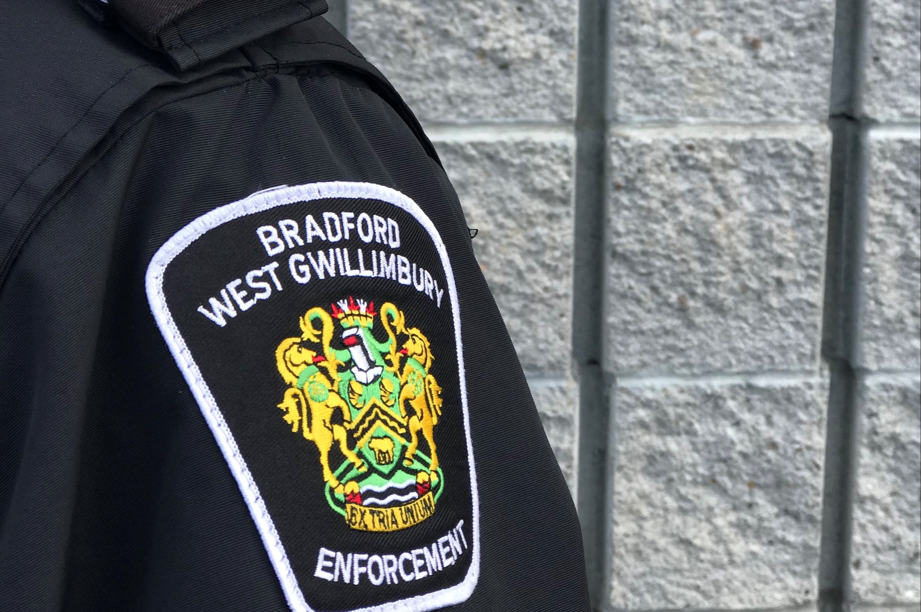 Shoulder with enforcement crest, brick wall in the background