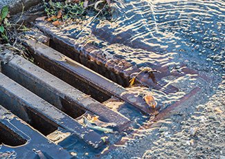 Rain water going into sewer drain