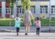 Mom and two children using crosswalk on the way to school