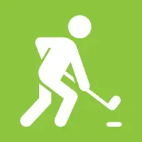 skating icon
