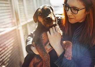 Photo of Kennel owner holding a dog in her arms